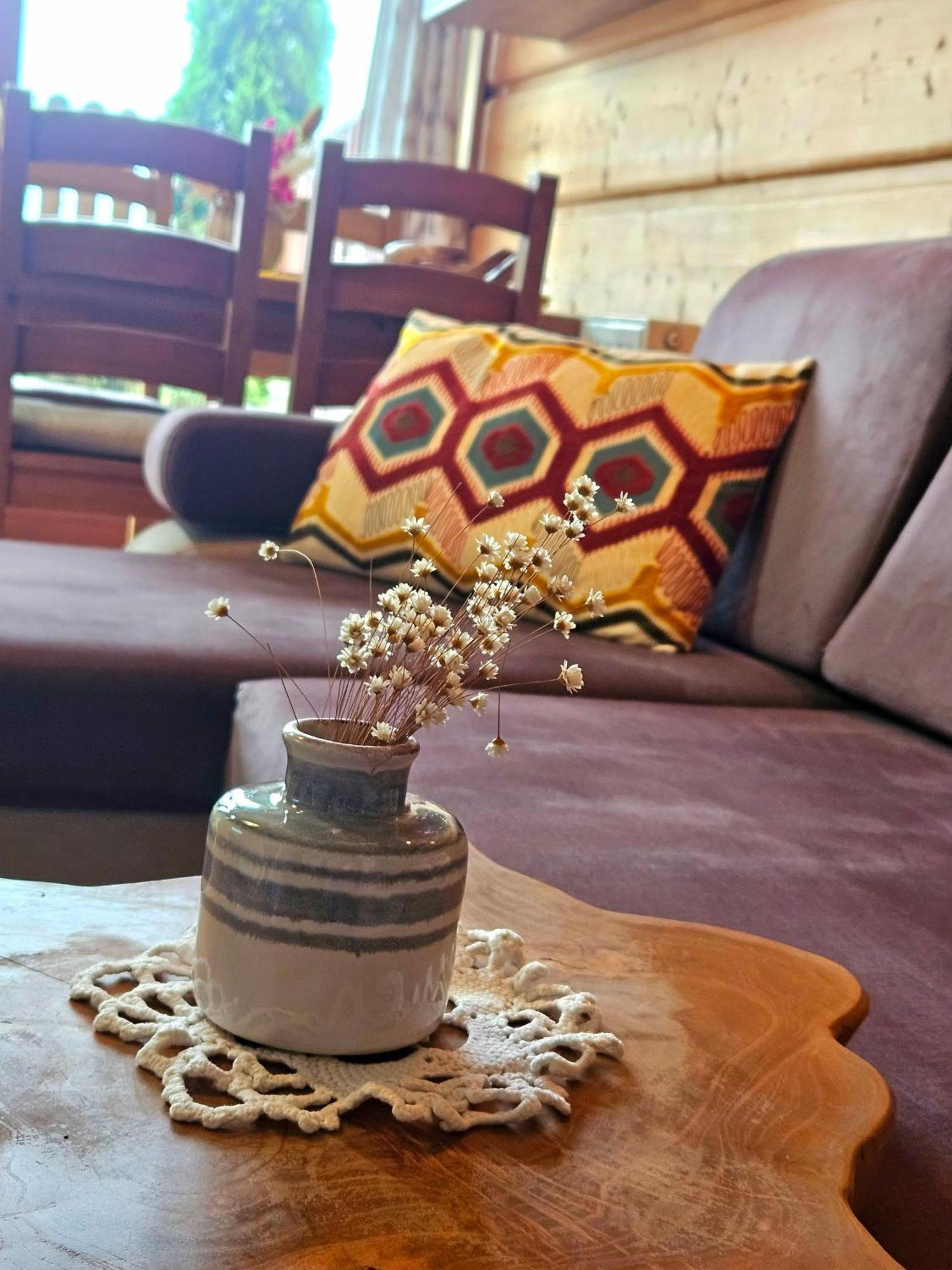 Apartament Z Widokiem Na Gory - Split Ac, Private Terrace, Private Parking コシチェリスコ エクステリア 写真